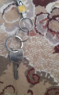 کلید خونه گمشده ۳عدد باجاکلید