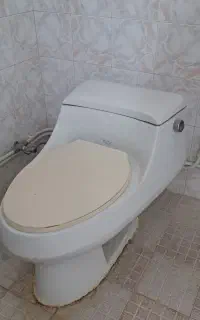 توالت فرنگی سایز بزرگ و دو عدد شیر قهرمان