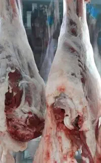 قصاب ماهر وکار بلد