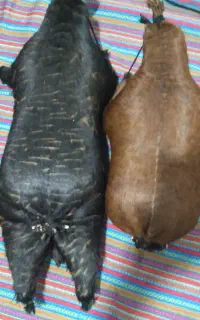 خیگ