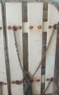 تخته جل میگو فایبر