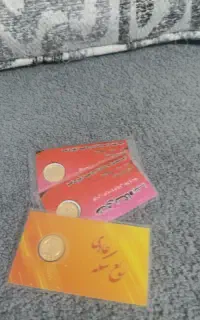 رب سکه عادی 300زیر قیمت