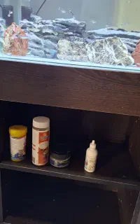 اکواریوم
