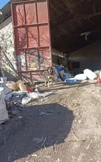 کارگر ساده