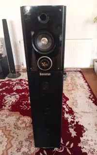 یک جفت باند خانگی