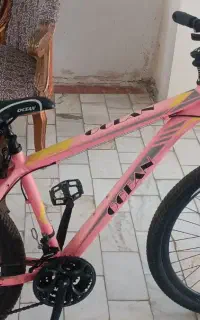 دوچرخه