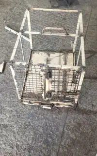 قفس پرنده