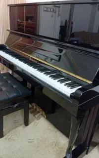 پیانو آکوستیک دیواری (کارل اشتنبرگ127)