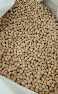 نخود بوجاری شده تمیز کیلویی ۱۶۰