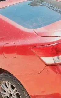 زوتی ۱۳۰۰