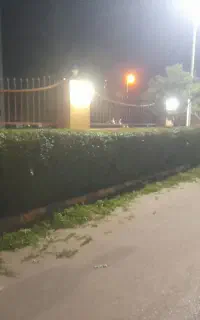 هرس شمشاد وکلیه خدمات باغبانی