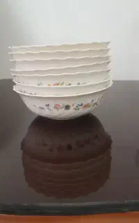 ظروف