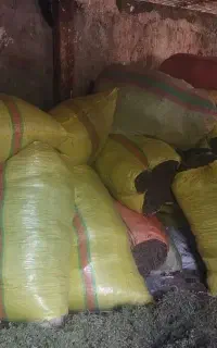 کاکوتی