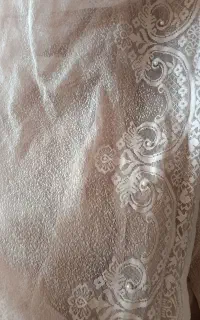 کنارپرده