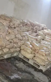 پای مرغ پاک شده و بدونه پاک شده