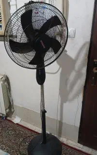 پناه ایستاده وسالم به قدر نو استفاده نشده