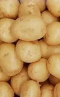 کارگر خانم