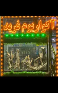 ماهی جدید رسید