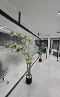 پارتیشن شیشه ای مدرن/pars partition
