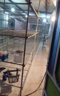 قفسه های طبقه ای آماده برای پرورش قارچ