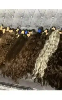 زال مو