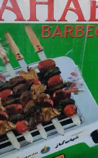 کباب پزگازی وسبزی خوردکن