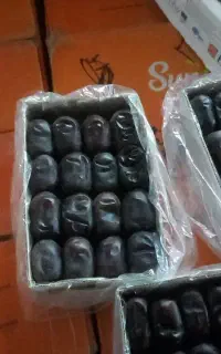 خرما مضافتی بم