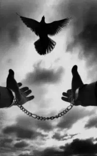 ترک اعتیاد برای همیشه