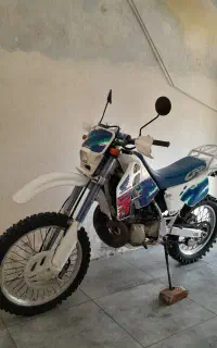 crm250