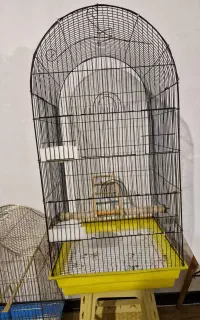 دو عدد قفس در حد نو نو