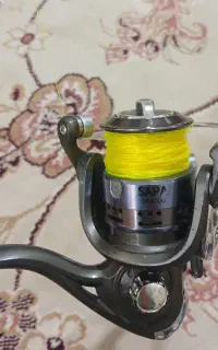 لنسر ماهی گیری