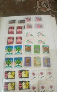 1000 عددتمر کلکسیونی 2عددآلبوم تکمیل