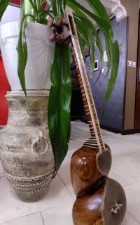 ساز۵۰ ساله ی قدیمی
