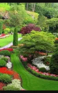 کار آموز با مدرک کارشناسی آشنا به فضای سبز