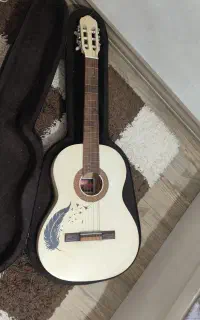 گیتار زیبا