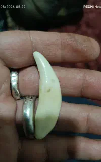سنگ قدیمی