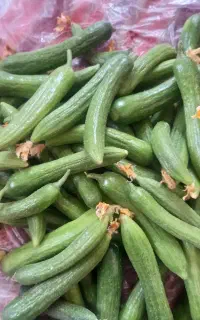 خیار US