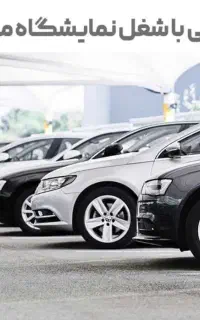 نیروی اقای جوان و پر تلاش جهت نمایشگاه خودرو