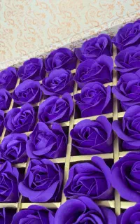 باکس جعبه کادو