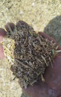 بوجار نخود واسه مصرف دام