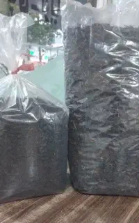 چای طبیعی لاهیجان را از ما بخواهید