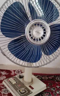 پنکه