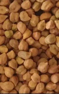 نخود‌قرمز
