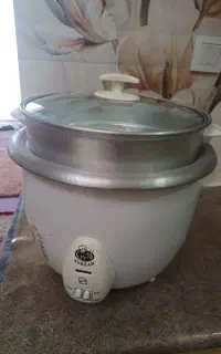 پلوپز وبخار پز