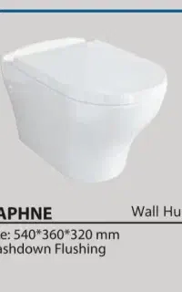 والنهنگ چینی کرد