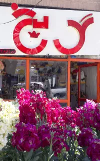 گل یخ با۲۲سال سابقه بدلیل مهاجرت