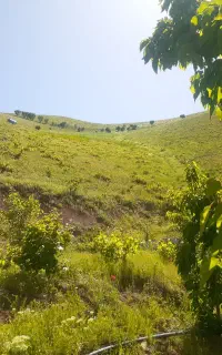 باغ روستای عیسی آباد
