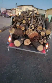 خریدار چوب همه نوع