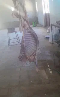 کشتار روز