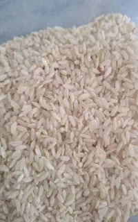 برنج محلی